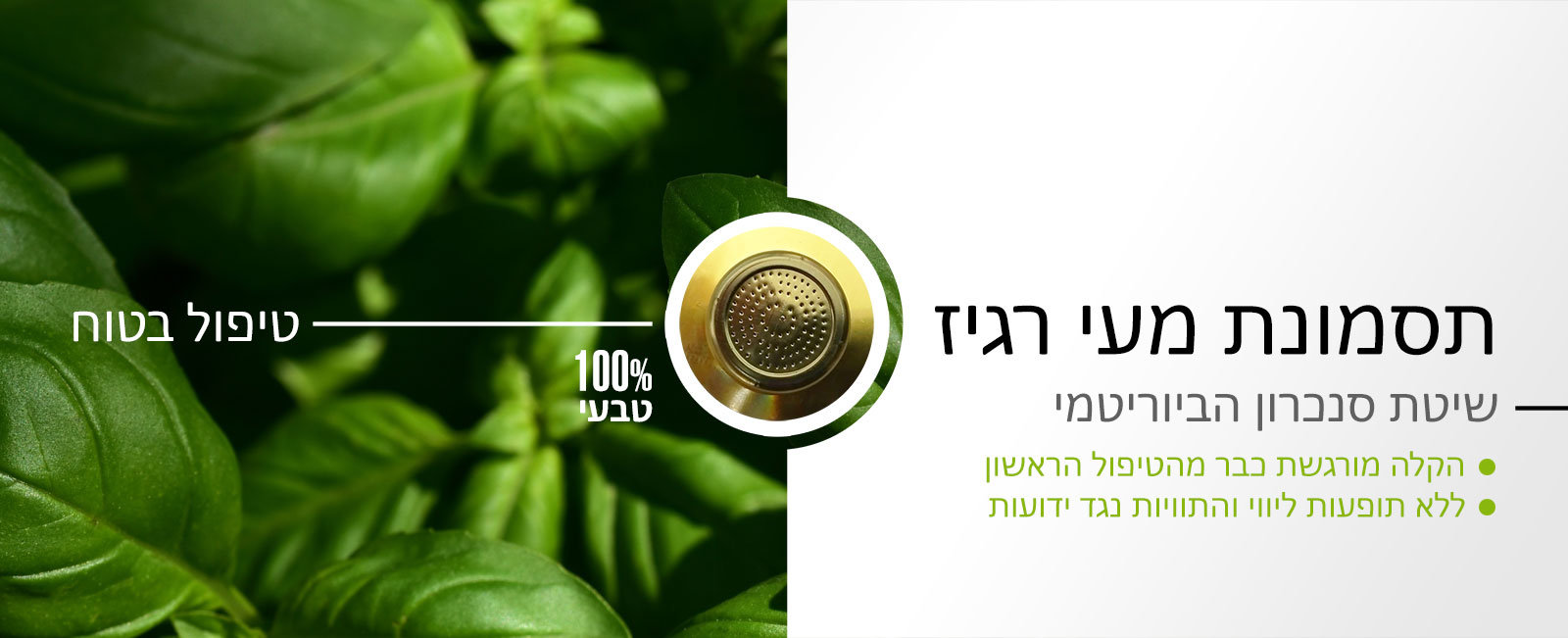 תסמונת מעי רגיז