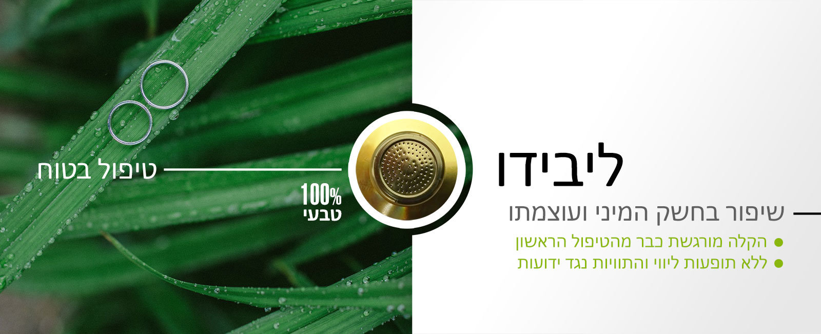 ליבידו ושיפור תפקוד מיני