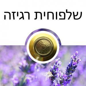 שלפוחית רגיזה
