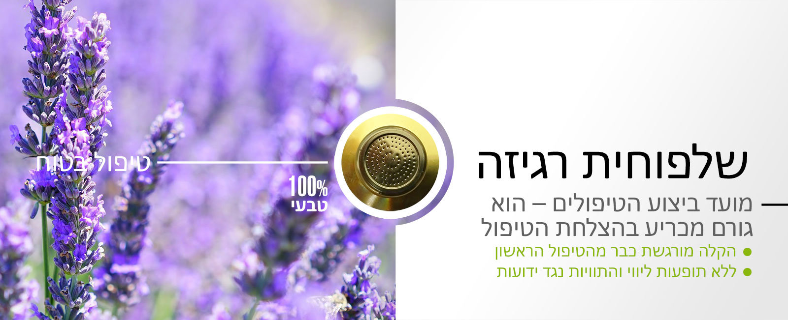 שלפוחית רגיזה