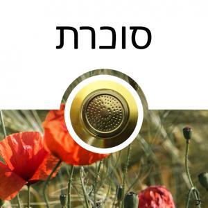 טיפול בסוכרת ותחזוקה מונעת