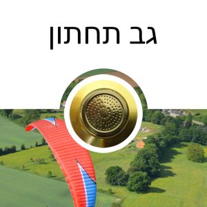 כאב גב תחתון